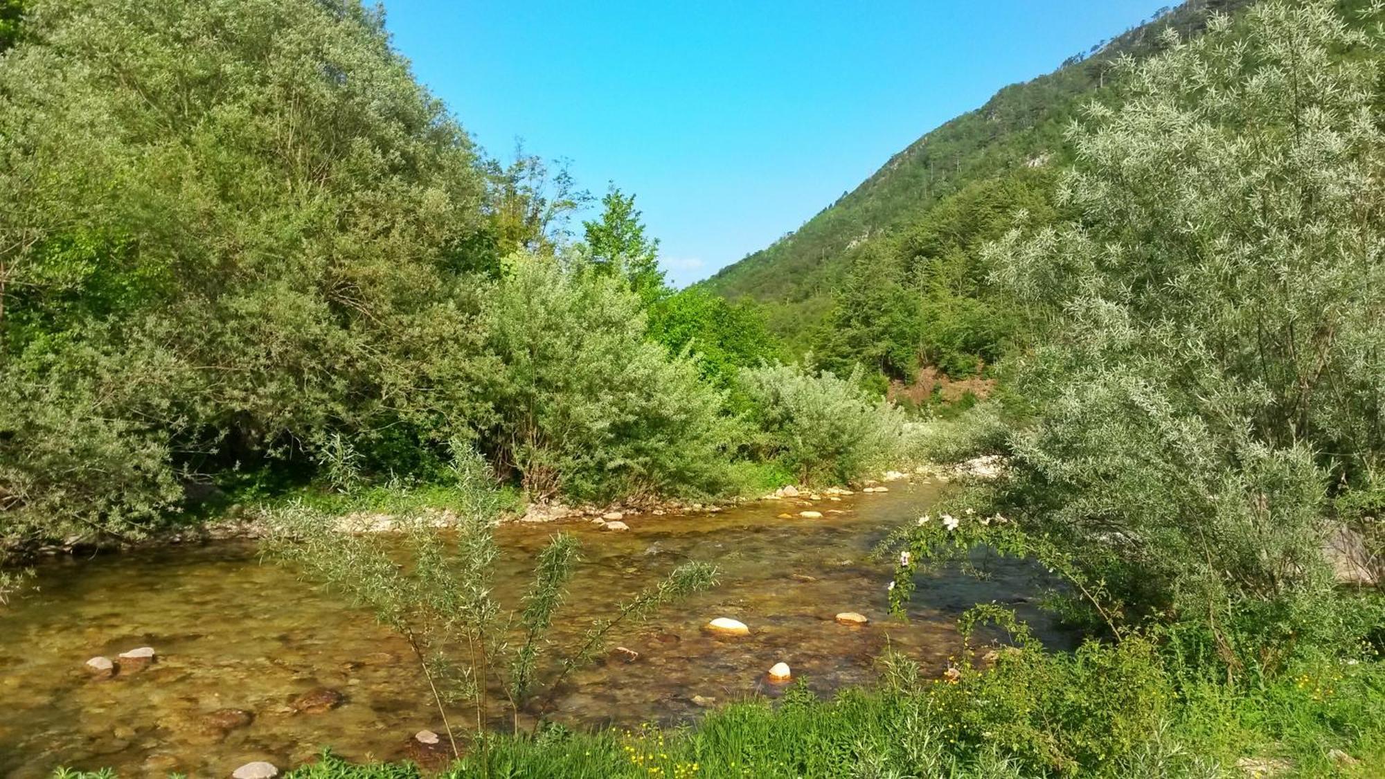 Kamp Vrbnica Hotel Plužine Eksteriør billede